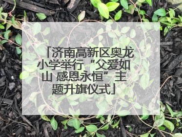 济南高新区奥龙小学举行“父爱如山 感恩永恒”主题升旗仪式