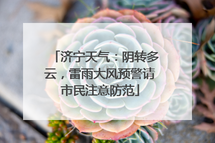 济宁天气：阴转多云，雷雨大风预警请市民注意防范