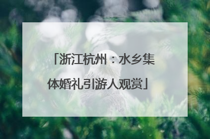 浙江杭州：水乡集体婚礼引游人观赏