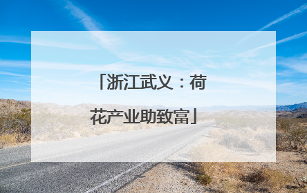 浙江武义：荷花产业助致富