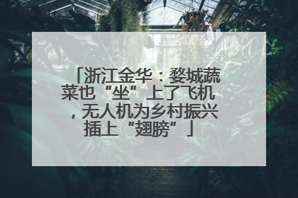 浙江金华：婺城蔬菜也“坐”上了飞机，无人机为乡村振兴插上“翅膀”