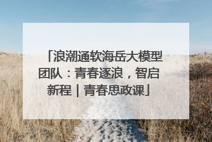 浪潮通软海岳大模型团队：青春逐浪，智启新程｜青春思政课