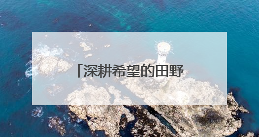 深耕希望的田野——“综合试验田”里庆丰收