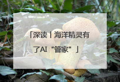 深读丨海洋精灵有了AI“管家”
