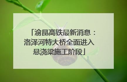 渝昆高铁最新消息：洛泽河特大桥全面进入悬浇梁施工阶段