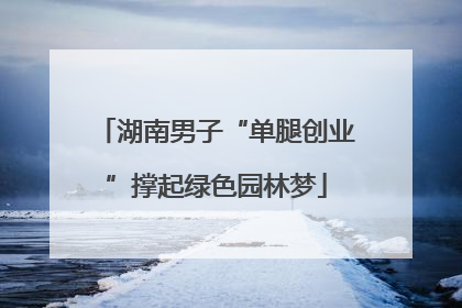 湖南男子“单腿创业”撑起绿色园林梦