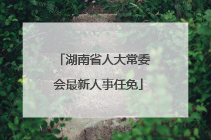 湖南省人大常委会最新人事任免