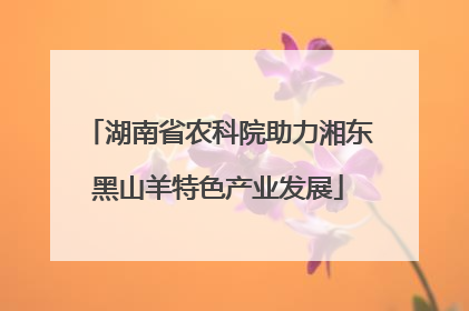 湖南省农科院助力湘东黑山羊特色产业发展