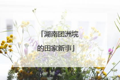 湖南团洲垸的田家新事