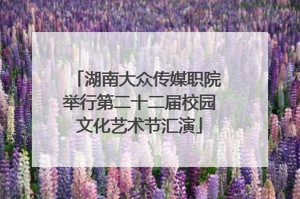 湖南大众传媒职院举行第二十二届校园文化艺术节汇演