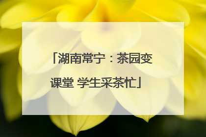 湖南常宁：茶园变课堂 学生采茶忙