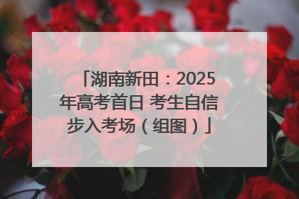 湖南新田：2025年高考首日 考生自信步入考场（组图）
