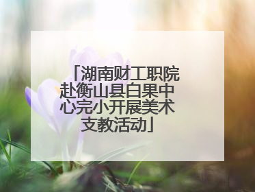 湖南财工职院赴衡山县白果中心完小开展美术支教活动