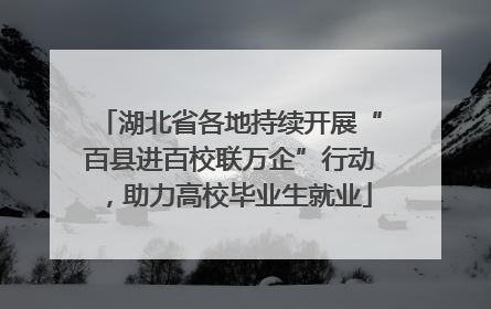 湖北省各地持续开展“百县进百校联万企”行动，助力高校毕业生就业