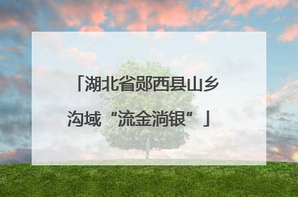 湖北省郧西县山乡沟域“流金淌银”