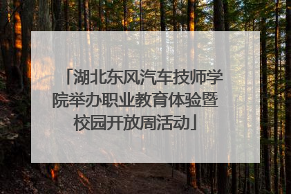 湖北东风汽车技师学院举办职业教育体验暨校园开放周活动