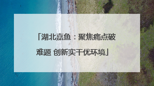 湖北嘉鱼：聚焦痛点破难题 创新实干优环境
