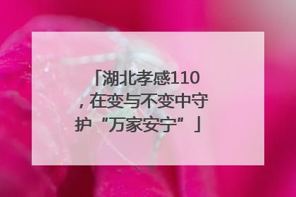 湖北孝感110，在变与不变中守护“万家安宁”