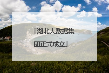 湖北大数据集团正式成立