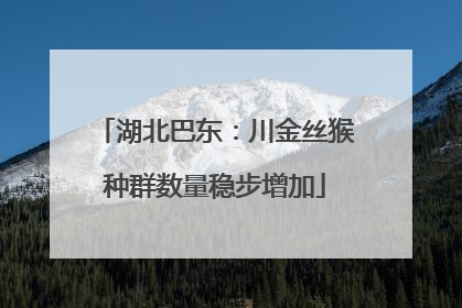 湖北巴东：川金丝猴种群数量稳步增加