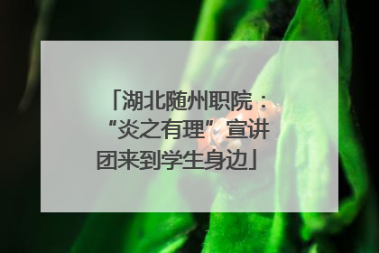 湖北随州职院：“炎之有理”宣讲团来到学生身边