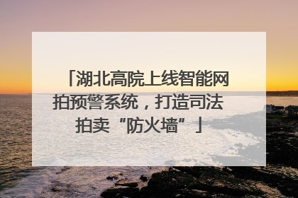 湖北高院上线智能网拍预警系统，打造司法拍卖“防火墙”