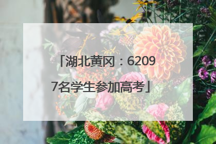 湖北黄冈：62097名学生参加高考