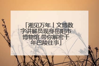 湘见万年丨文博数字讲解员现身岳阳市博物馆 带你解密千年巴陵往事