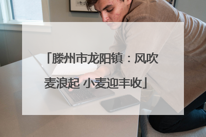 滕州市龙阳镇：风吹麦浪起 小麦迎丰收