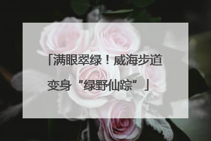 满眼翠绿！威海步道变身“绿野仙踪”