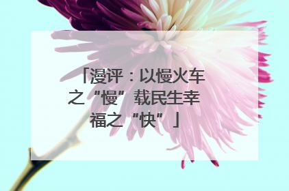 漫评：以慢火车之“慢”载民生幸福之“快”
