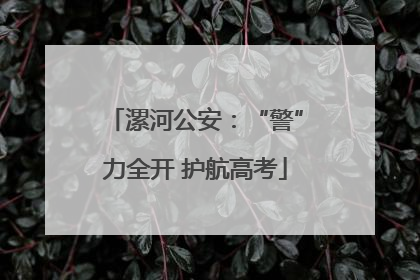 漯河公安：“警”力全开 护航高考