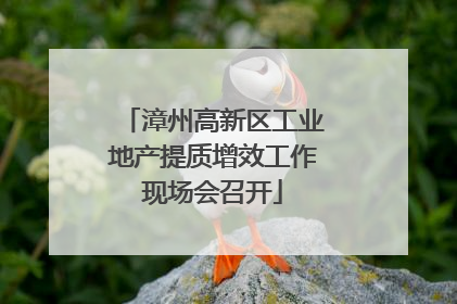 漳州高新区工业地产提质增效工作现场会召开