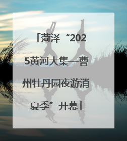 菏泽“2025黄河大集—曹州牡丹园夜游消夏季”开幕