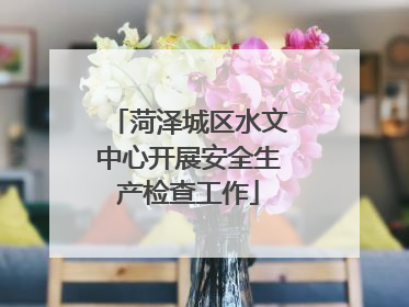 菏泽城区水文中心开展安全生产检查工作