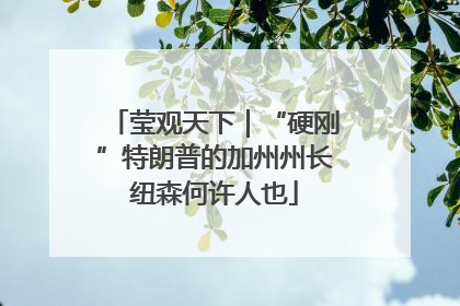 莹观天下｜“硬刚”特朗普的加州州长纽森何许人也