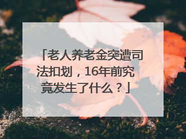 老人养老金突遭司法扣划，16年前究竟发生了什么？