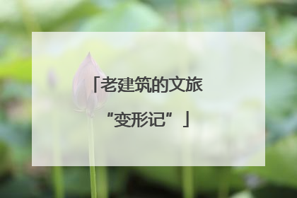 老建筑的文旅“变形记”