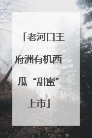 老河口王府洲有机西瓜“甜蜜”上市