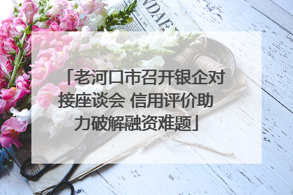 老河口市召开银企对接座谈会 信用评价助力破解融资难题