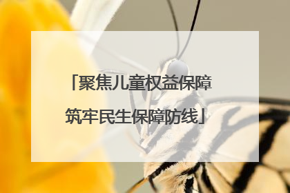 聚焦儿童权益保障 筑牢民生保障防线