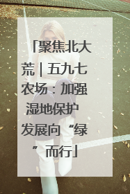 聚焦北大荒｜五九七农场：加强湿地保护 发展向“绿”而行