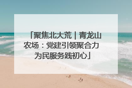 聚焦北大荒｜青龙山农场：党建引领聚合力 为民服务践初心