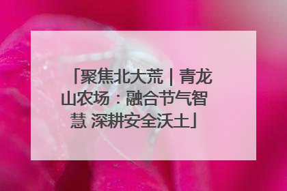 聚焦北大荒｜青龙山农场：融合节气智慧 深耕安全沃土