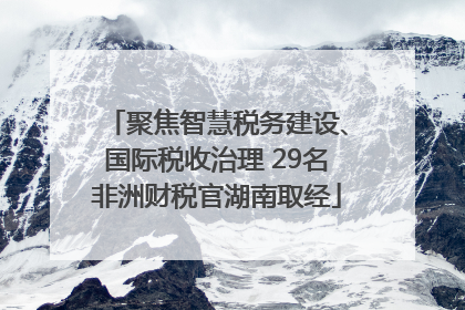 聚焦智慧税务建设、国际税收治理 29名非洲财税官湖南取经