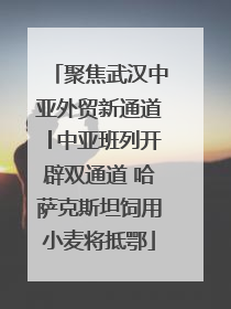 聚焦武汉中亚外贸新通道│中亚班列开辟双通道 哈萨克斯坦饲用小麦将抵鄂