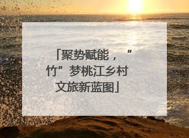 聚势赋能，“竹”梦桃江乡村文旅新蓝图