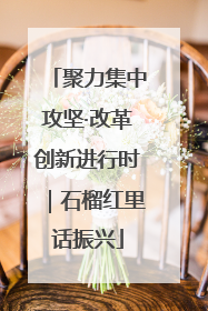 聚力集中攻坚·改革创新进行时｜石榴红里话振兴
