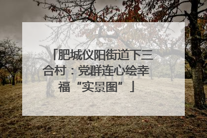 肥城仪阳街道下三合村：党群连心绘幸福“实景图”