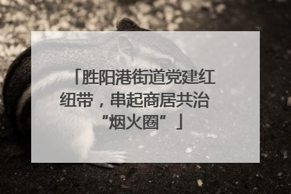 胜阳港街道党建红纽带，串起商居共治 “烟火圈”